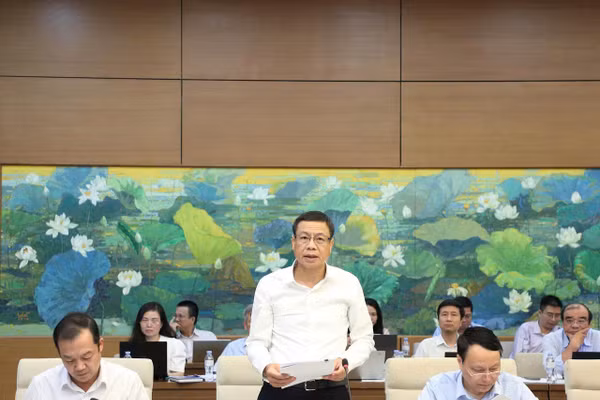 Thứ trưởng Khoa học và Công nghệ Lê Xuân Định trình bày Tờ trình của Chính phủ về dự án Luật. (Ảnh: MST)