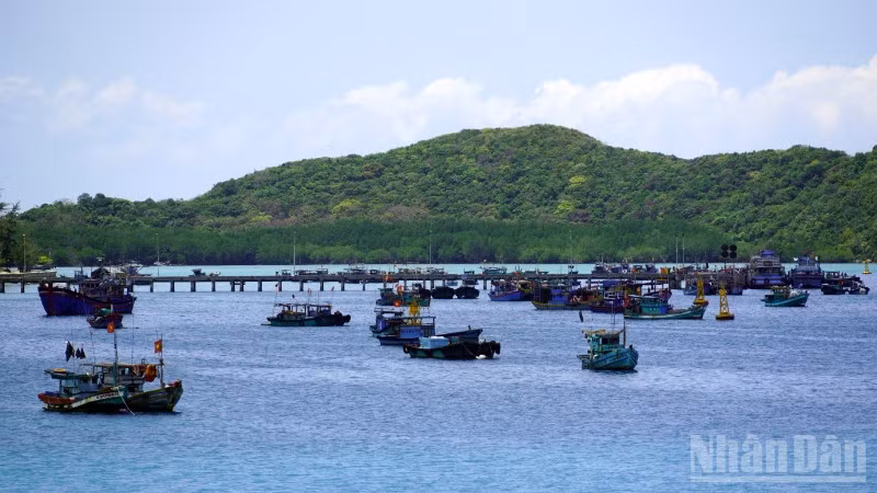 Tàu cá của ngư dân neo ở vịnh Bến Đầm, Côn Đảo, Thành phố Hồ Chí Minh. (Ảnh: Lê Đình Thìn)