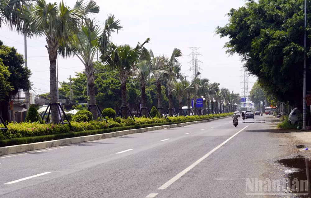 ndo_br_ql51-phuoc-thang.jpg