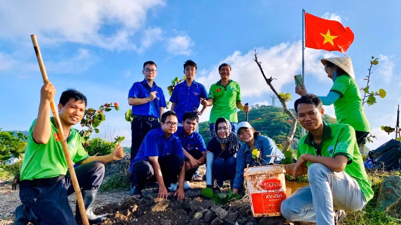Trồng cây phủ xanh mũi Nghinh Phong, phường Vũng Tàu sáng 7/6. 