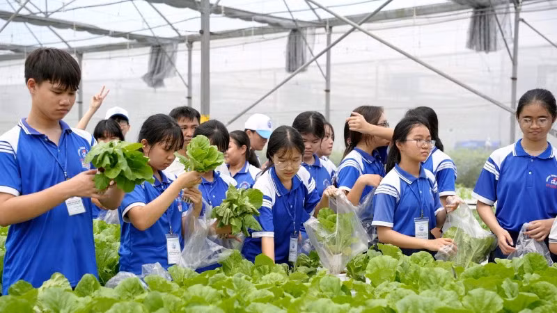 Học sinh tham quan mô hình trồng rau công nghệ cao. 