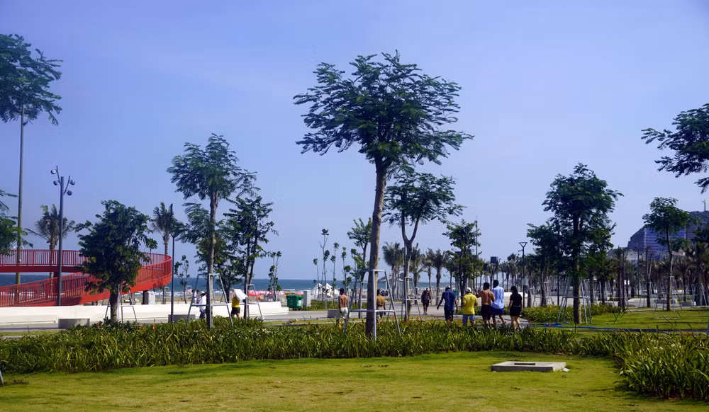 manh-xanh-o-cong-vien-thuy-van.jpg