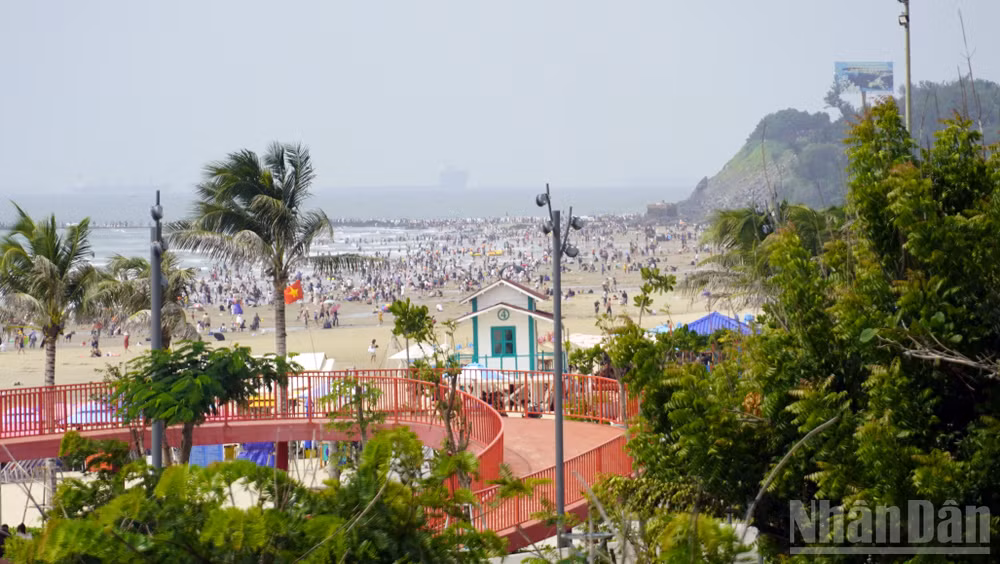 ndo_br_dsc1818.jpg