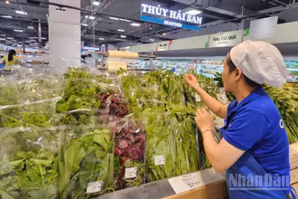 Nông sản tại siêu thị Co.opmart Phan Thiết.