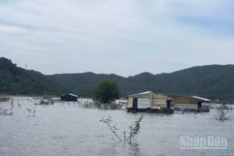 Hồ Sông Lũy bị người dân lấn chiếm.