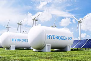 Nhiên liệu hydro được xem là một giải pháp năng lượng quan trọng. Ảnh: WWF 