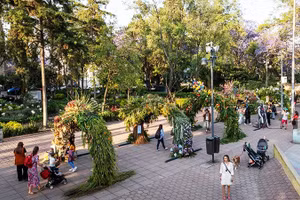 “Bảo tàng hoa” khổng lồ
