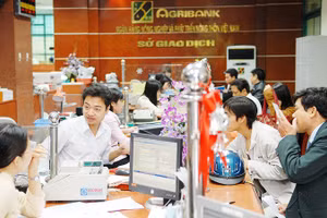 Nhiều ngân hàng lớn đang chuẩn bị triển khai các kế hoạch huy động vốn quy mô lớn qua kênh trái phiếu. Ảnh: NAM ANH