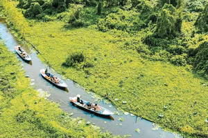 Du khách tham quan Rừng tràm Trà Sư, An Giang. (Ảnh: TRA SU TOURIST AREA)