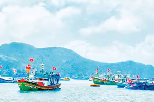 Tàu thuyền của ngư dân tấp nập ở cầu cảng Côn Đảo. (Ảnh PHẠM MỘNG)