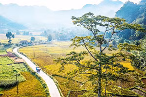 Con đường dẫn vào bản Khun quanh co theo triền núi.