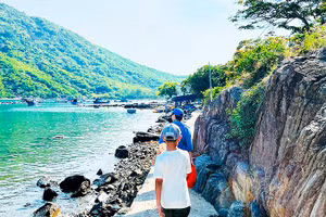 Đường vào đảo Bích Đầm.