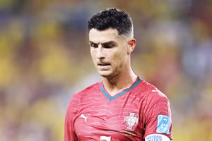 Bên lề World Cup
