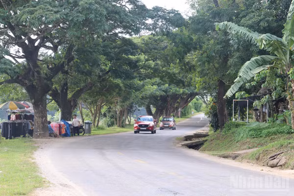 Quốc lộ 40B, tuyến giao thông huyết mạch kết nối khu vực ven biển Đà Nẵng, Quảng Ngãi đến Tây Nguyên và cửa khẩu quốc tế Bờ Y. (Ảnh: HIỂN CỪ)
