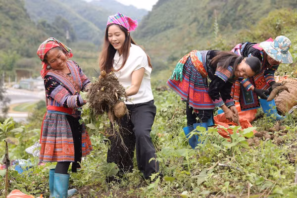 Hình ảnh bà con dân tộc thiểu số xã Sìn Hồ, tỉnh Lai Châu livestream bán nông sản trên nền tảng công nghệ số.