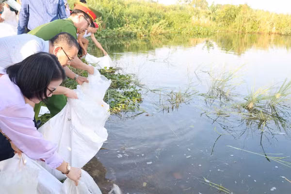 Thả cá giống góp phần tái tạo nguồn lợi thủy sản trên sông Trà Khúc. (Ảnh: KIM HUYỀN)