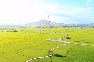 Cánh đồng điện gió Đầm Nại (Ninh Thuận). (Ảnh: Nguyễn Thành – TTXVN)