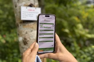 Khách du lịch tìm hiểu về những loài cây có lưu trữ carbon thông qua mã QR. (Ảnh: TTXVN)