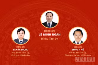[Infographic] Đại hội đại biểu Đảng bộ tỉnh Lai Châu lần thứ XV, nhiệm kỳ 2025-2030
