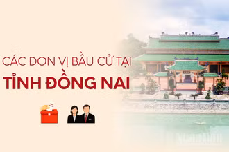 [Infographic] Các đơn vị bầu cử đại biểu Quốc hội tại tỉnh Đồng Nai