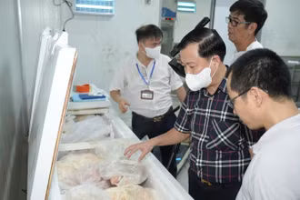 Các cơ quan chức năng kiểm tra công tác bảo đảm an toàn thực phẩm tại các đơn vị sản xuất, kinh doanh trên địa bàn Hà Nội. (Ảnh: THANH BÌNH)