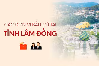 [Infographic] Các đơn vị bầu cử đại biểu Quốc hội tại tỉnh Lâm Đồng