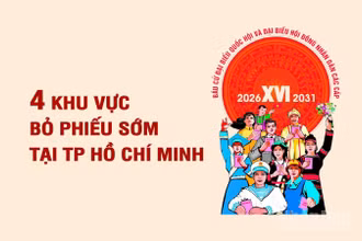 [Infographic] Bốn khu vực bỏ phiếu sớm tại Thành phố Hồ Chí Minh