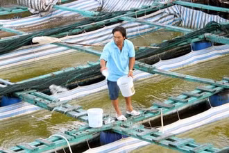 Ảnh minh họa: Người dân cư ngụ ven sông Cà Mau chủ động bố trí nuôi thủy sản thích ứng với biến đổi khí hậu và nước dâng cao. (Ảnh: Kim Há - TTXVN)