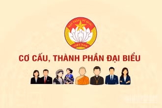 [Infographic] Cơ cấu, thành phần đại biểu tham dự Đại hội đại biểu toàn quốc Mặt trận Tổ quốc Việt Nam lần thứ XI, nhiệm kỳ 2026-2031