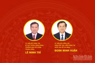 [Infographic] Các đồng chí nhận nhiệm vụ mới do Bộ Chính trị phân công