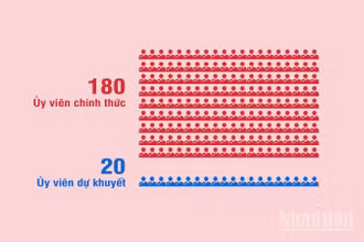 [Infographic] 200 Ủy viên Ban Chấp hành Trung ương Đảng Cộng sản Việt Nam khóa XIV