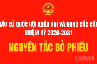 [Infographic] Nguyên tắc bỏ phiếu bầu đại biểu Quốc hội và Hội đồng nhân dân các cấp