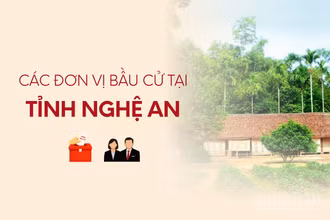 [Infographic] Các đơn vị bầu cử đại biểu Quốc hội tại tỉnh Nghệ An