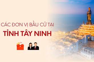 [Infographic] Các đơn vị bầu cử đại biểu Quốc hội tại tỉnh Tây Ninh