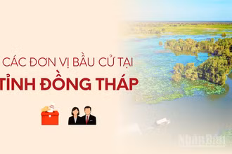 [Infographic] Các đơn vị bầu cử đại biểu Quốc hội tại tỉnh Đồng Tháp