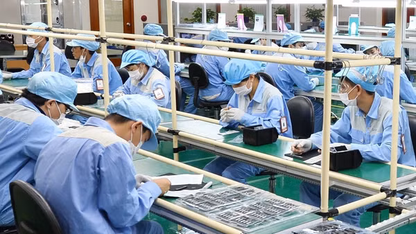 Kim ngạch nhập khẩu của Việt Nam tập trung chủ yếu vào các nhóm hàng phục vụ sản xuất như máy vi tính, sản phẩm điện tử và linh kiện (hơn 99,2 tỷ USD); máy móc, thiết bị và phụ tùng (hơn 31,1 tỷ USD).