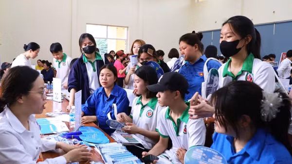 Nỗ lực kết nối, giới thiệu việc làm cho thanh niên. Nguồn: Trung tâm Dịch vụ việc làm Hà Nội