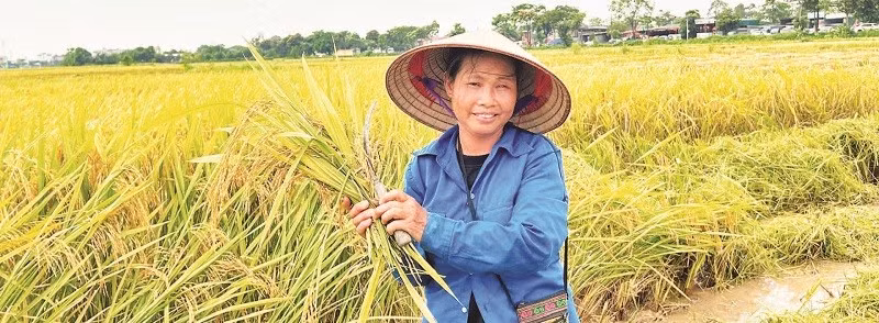anh3.jpg