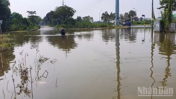 Nước tại khu vực ngập sâu nhất của đoạn đường gom Đại lộ Thăng Long qua xã Hữu Bằng lên tới 1m. Trong ảnh nước ngập tới bụng của người mở dịch vụ hỗ trợ kéo xe qua khu vực ngập nước, trong khi 1 chiếc ô-tô tải nhỏ bất lực quay đầu.