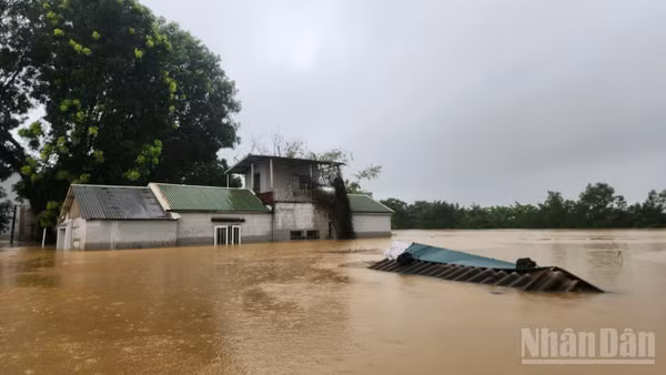 Sau nhiều ngày mưa lớn, nước sông Bùi dâng cao khiến nhiều khu vực trên địa bàn xã Quảng Bị (Hà Nội) bị ngập sâu. Ảnh chụp chiều tối ngày 16/9.