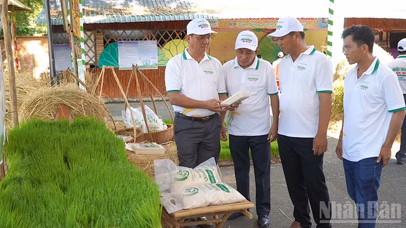 ndo_br_moitruong2.jpg