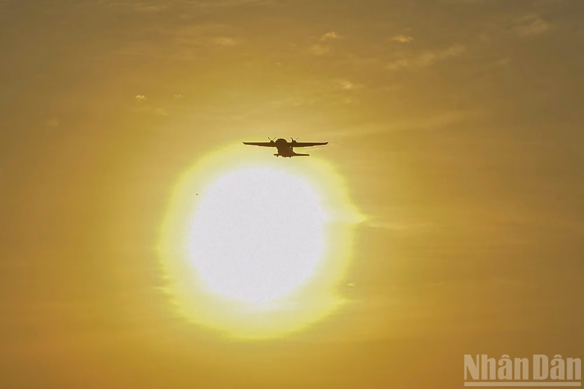 ndo_br_7.jpg