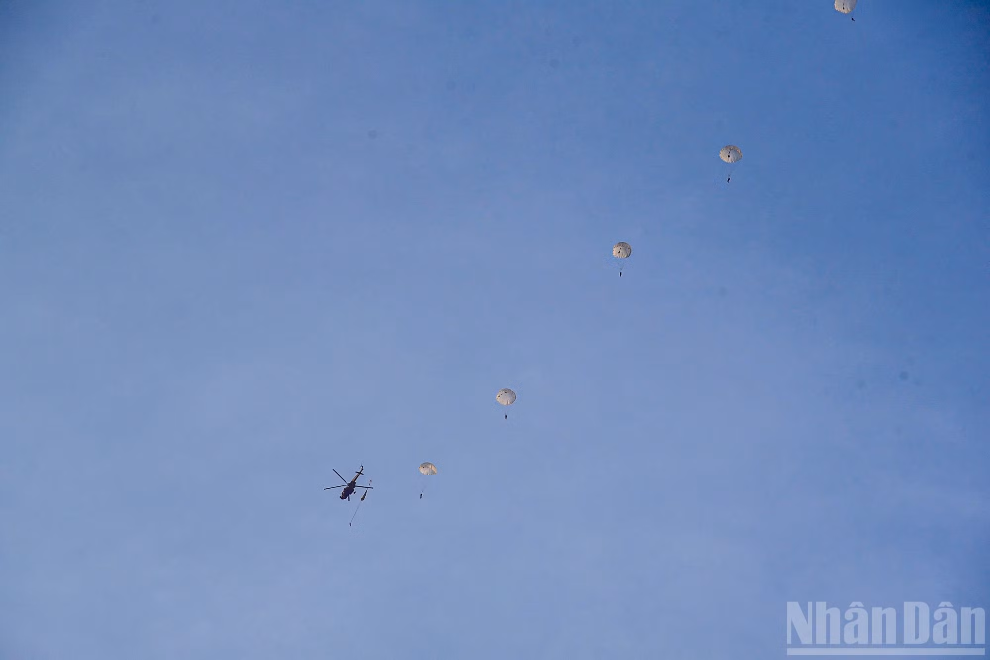 ndo_br_5-4798.jpg