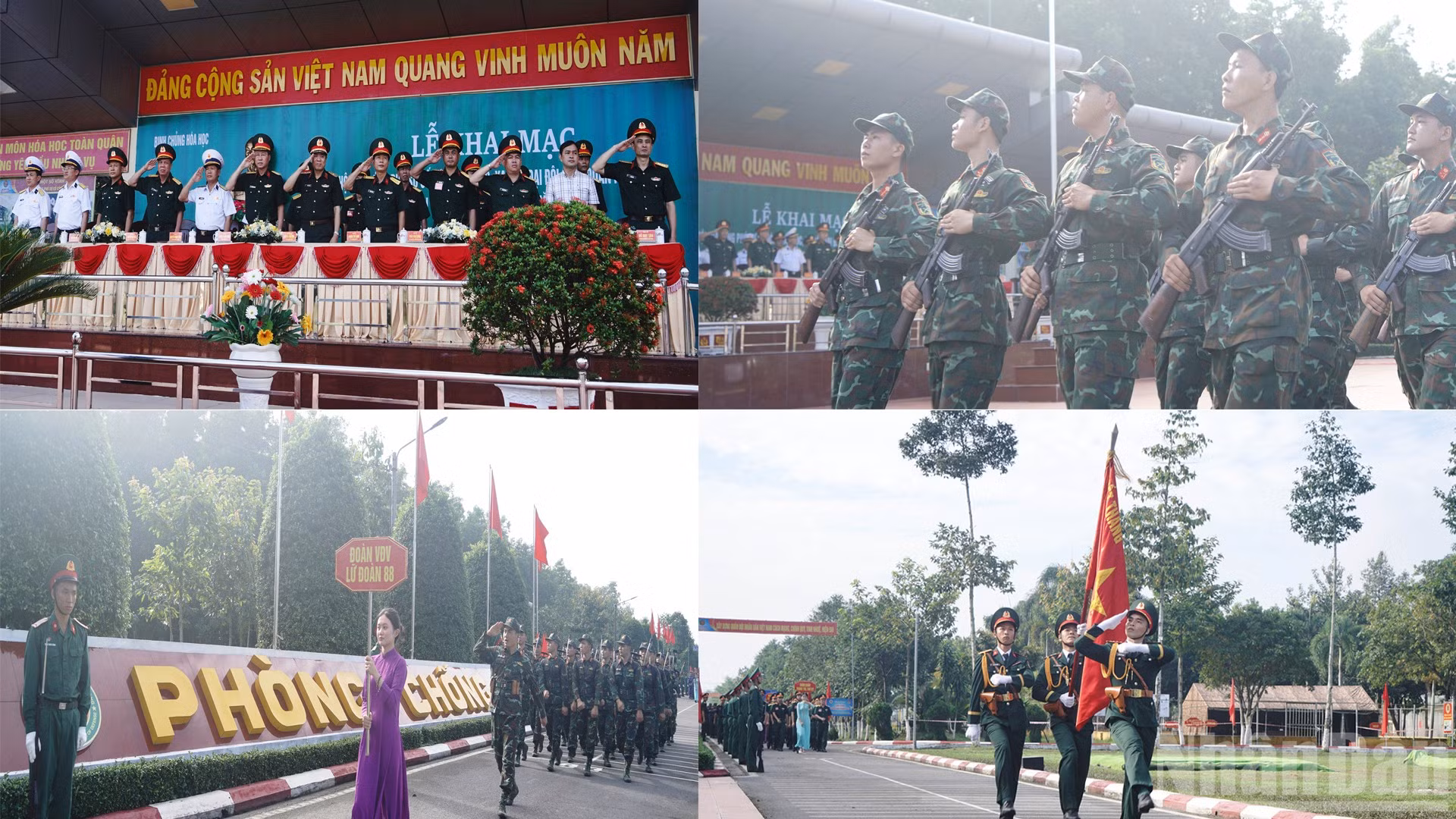 ndo_br_03.jpg