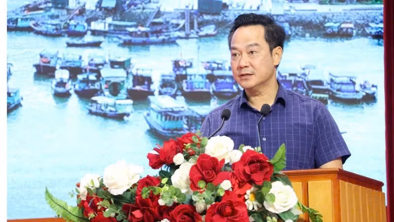 anh-bao-2.jpg