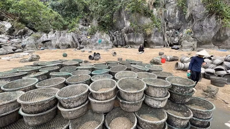 vinh-2.jpg