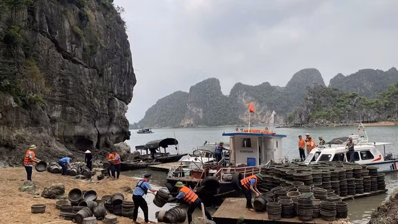 vinh-4.jpg