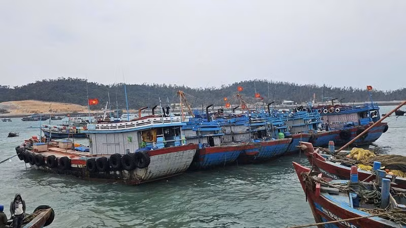 Tàu về neo đậu tại khu vực tránh trú bão ở đặc khu Cô Tô.