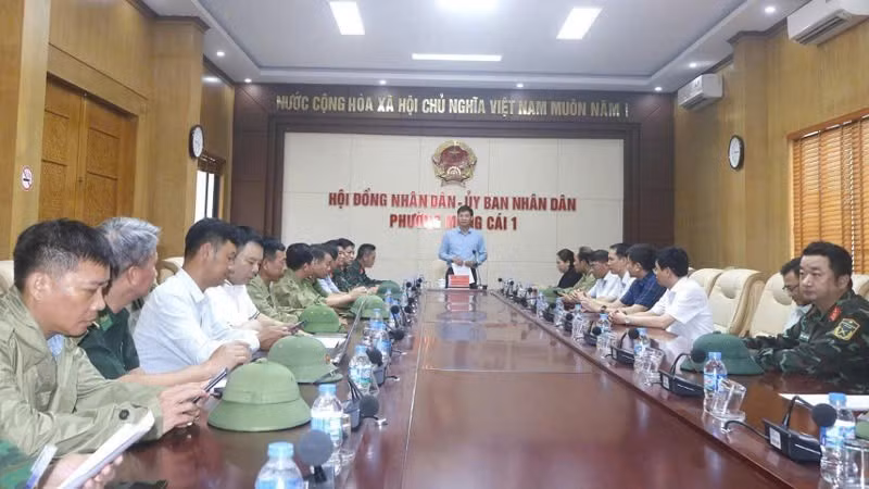 Lãnh đạo tỉnh Quảng Ninh trực tiếp kiểm tra và chỉ đạo công tác phòng, chống bão số 1 tại phường Móng Cái 1.