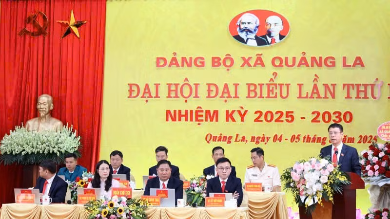 ql-1.jpg
